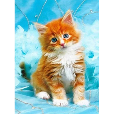 Sweet Ginger Kitten Diamond Painting Kit